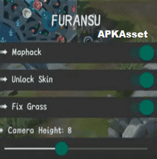 Furansu VIP