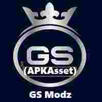 GS Modz