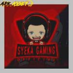 Syeka Gaming