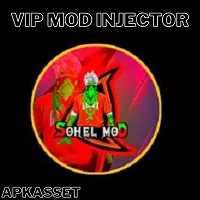 VIP Mod Injector